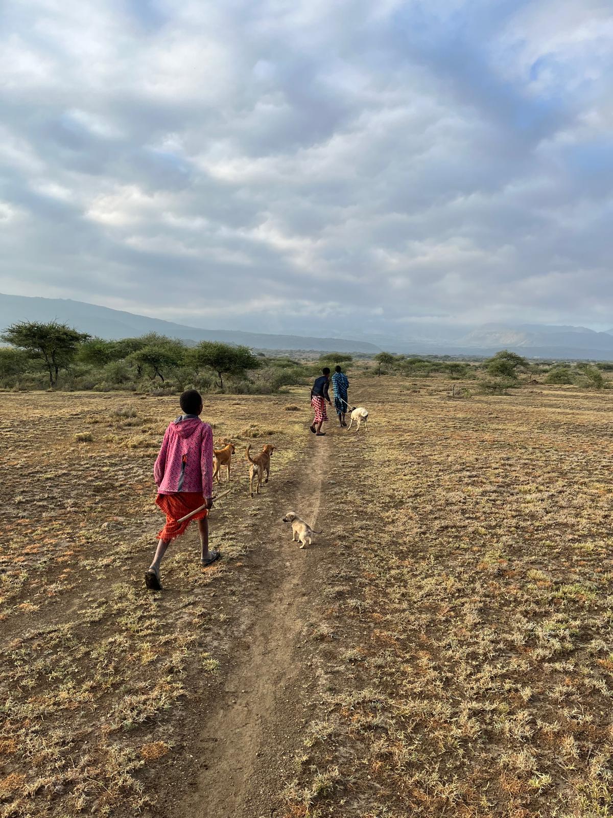 Landschaft im Projektgebiet bei Esilalei